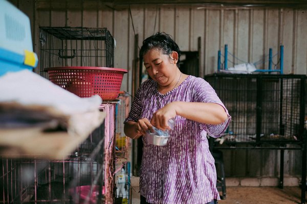 Découverte des espèces d'araignées les plus rares